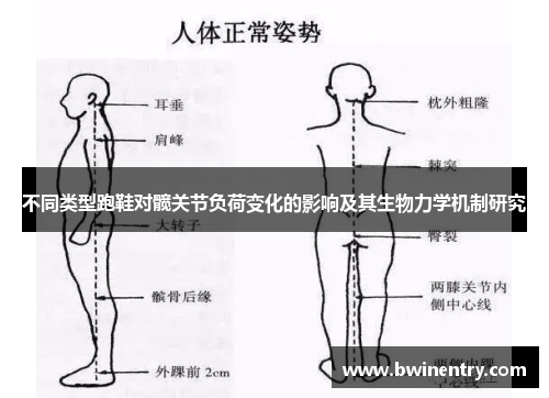 不同类型跑鞋对髋关节负荷变化的影响及其生物力学机制研究