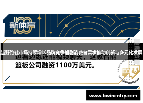 越野跑鞋市场持续增长品牌竞争加剧消费者需求推动创新与多元化发展