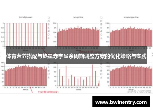 体育营养搭配与热量赤字盈余周期调整方案的优化策略与实践